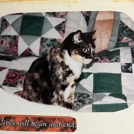 A Whisker’s Wish – Mobile Veterinarian in Woodstock, VA