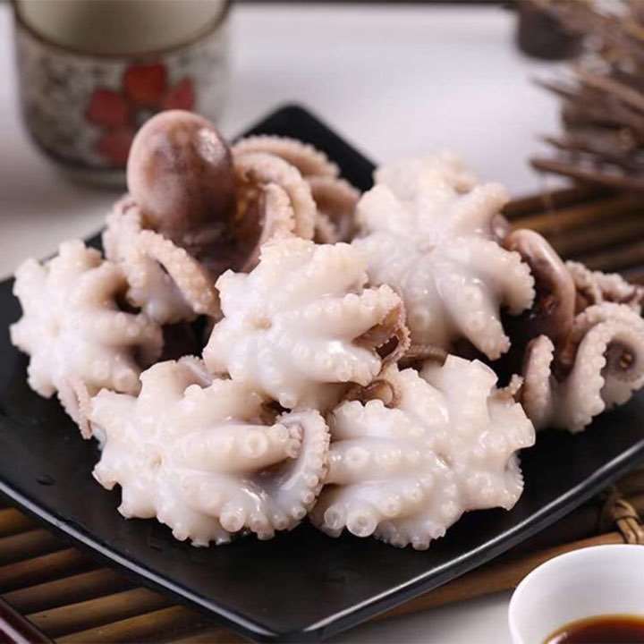 Baby Octopus