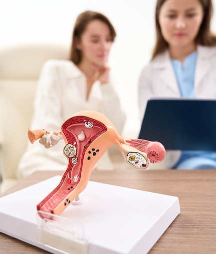 uterus-model-with-blurred-doctor-showing-to-woman-2026-01-05-06-11-34-utc.jpg