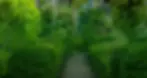 cc3088e01ad1c61f1e9e88a40dd2c85a.webp
