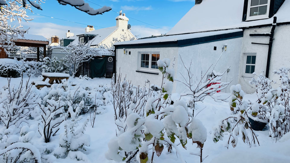 Cottage back garden in snow