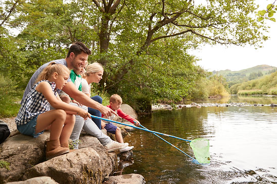 family-on-walk-fishing-with-nets-in-river-in-uk-la-2024-10-21-00-39-28-utc.jpg