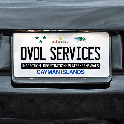 DVDL Services.jpg
