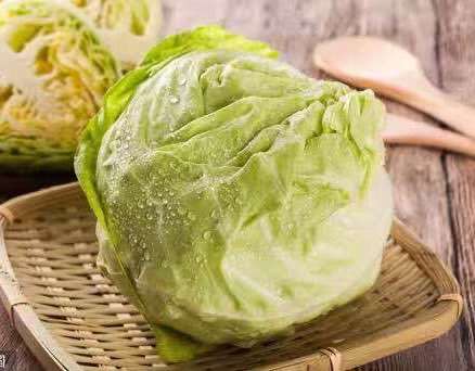 Cabbage