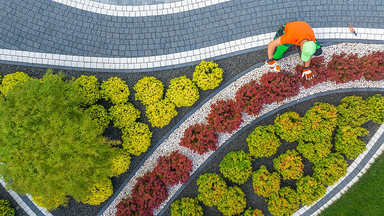 gardener-shaping-back-yard-garden-plants-using-a-t-2026-03-25-00-01-13-utc.jpg
