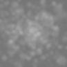 4358_edited.jpg