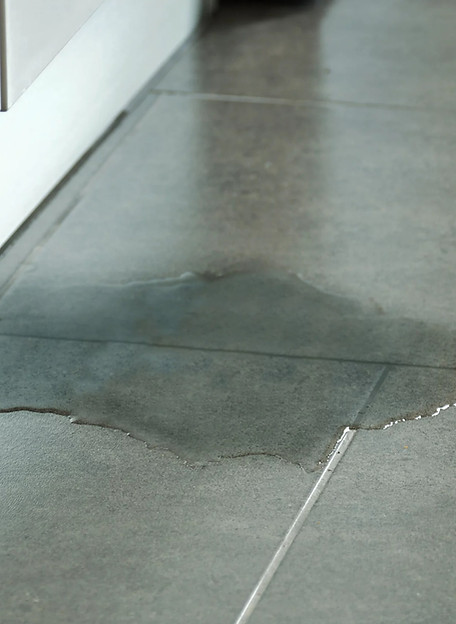 menifee leak repaired