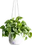 home4-img1.webp