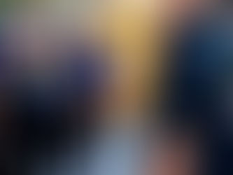 Securing Crowds With Expert Planning