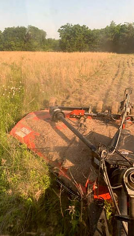 tractor-mowing-tall-behind.jpg
