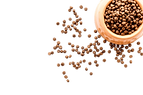 home1-pet-food.png