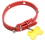 pet-collar.png