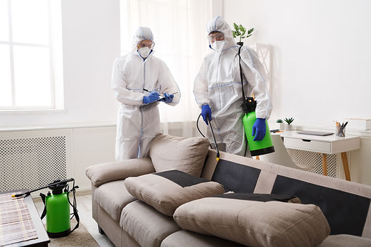 home-disinfection-by-cleaning-service-surface-tre-2026-03-24-02-19-13-utc.jpg