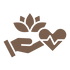holistic-health (1).png
