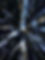 526580123_18521895328045552_8571339410561002915_n..jpg