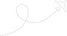 icon-plane-10.png