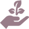 seeding.png