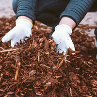 recycling-and-sustainability-2026-01-08-07-15-39-utc.jpg