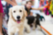 A Whisker’s Wish – Mobile Veterinarian in Woodstock, VA