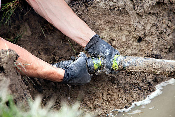 istockphoto-510007257-612x612.jpg