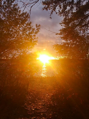 Lake Photo with Sun.jpeg
