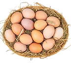 fresh-chicken-eggs-with-nest-isolated-on-white-bac-2026-03-25-08-55-54-utc_11zon-Photoroom