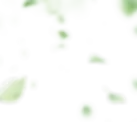 ab-bg-1.webp