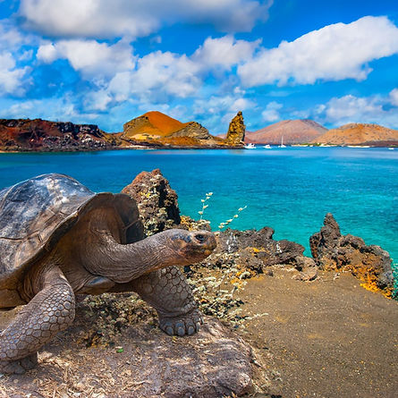 GALAPAGos