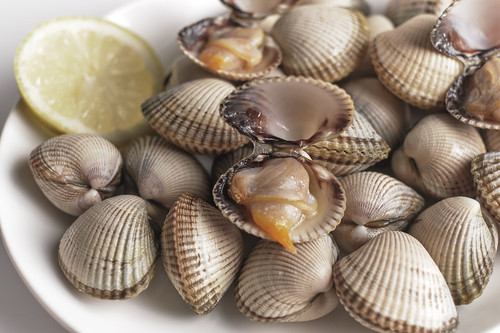 Cockles | The Shellfish Co Ltd