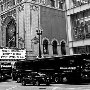 MN Transports Limo & Bus Service | Lincolnwood, IL: