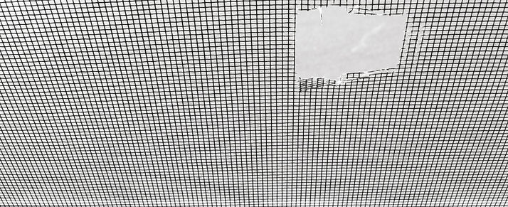 screen-repair.jpeg