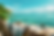 Untitled design (13).png