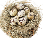 speckled-eggs-nestled-in-natural-straw-nest-2026-03-26-07-25-39-utc_11zon-Photoroom.png