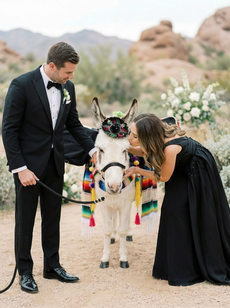 Beer burro rental providing drinks at an Arizona event.