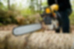 tree-removal-services.jpg