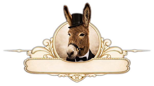 The Beer Burro Donkey