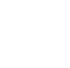 government.png