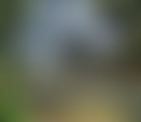 15 Hidden Gems Near Mountain Rest, South Carolina