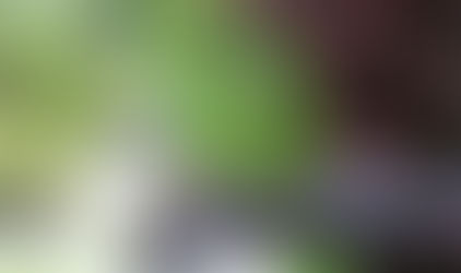 Where the sidewalk Ends