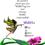 Thumbnail: book - WiSH = What is Stated, Happens