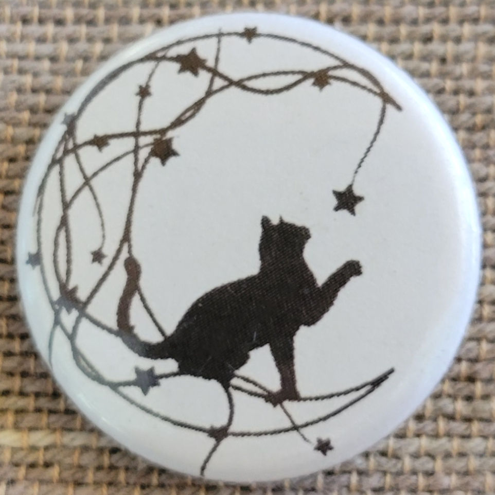 Thumbnail: Button Cat on Moon