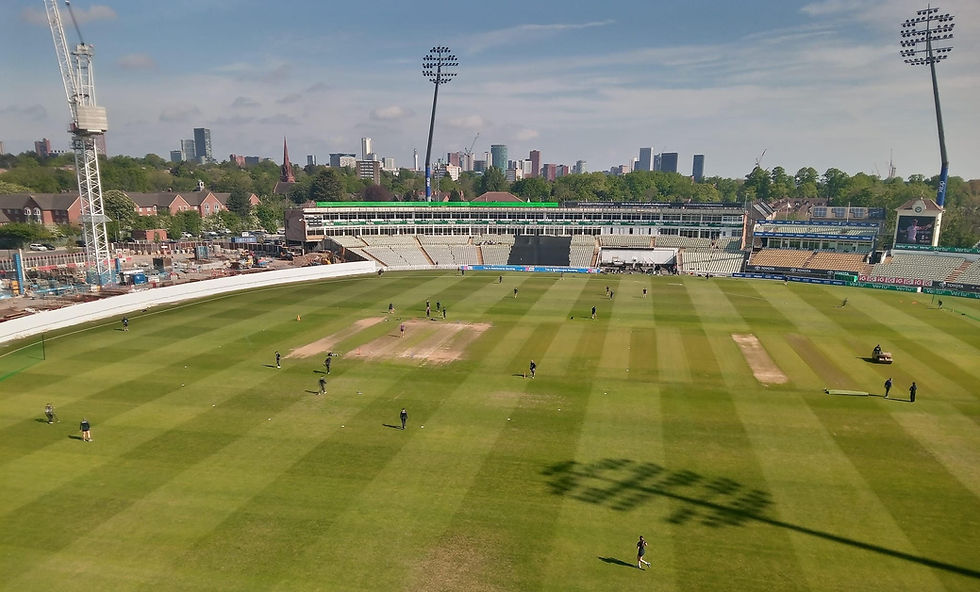 Strength and charisma of Pavely see Warwickshire over the line