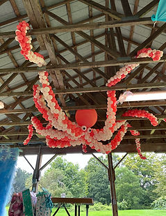 octopus.jpg