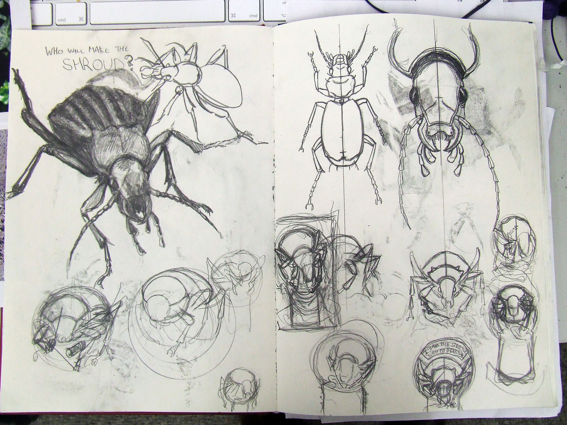 Beetle