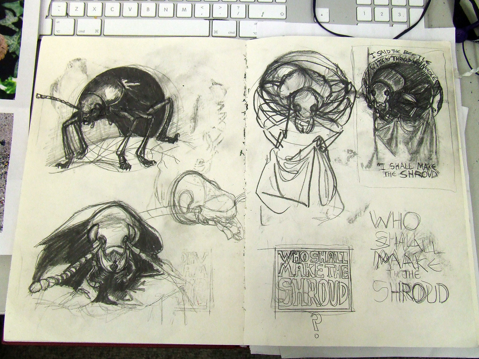 Beetle 2
