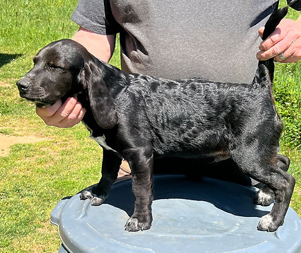 Meena Black Male '26.jpg