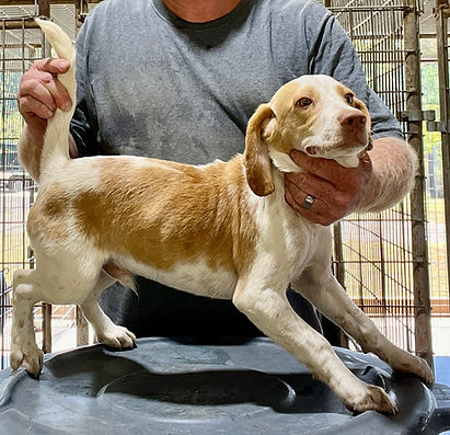 Juke Lemon & White Male #2  '25.jpg