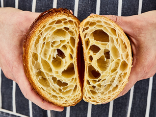 Chestnut Belgravia opens