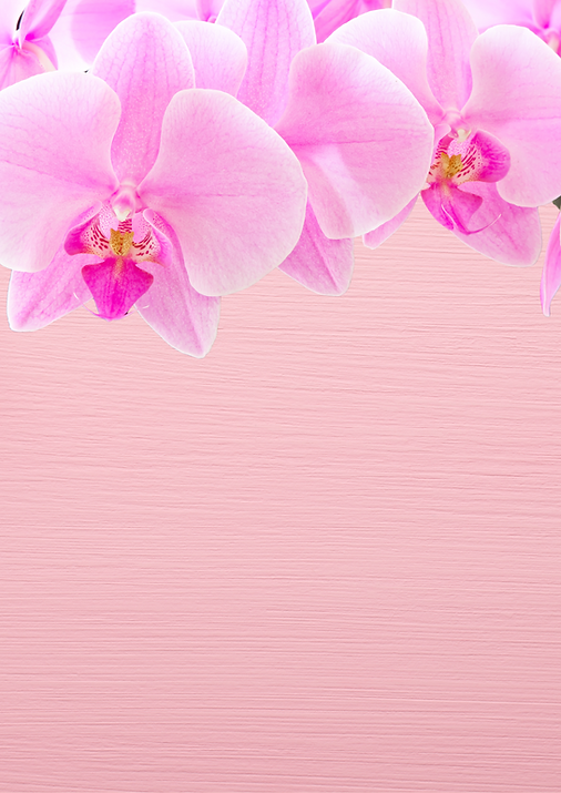 Pink White Watercolor Flower Page Border A3 Poster-2.png