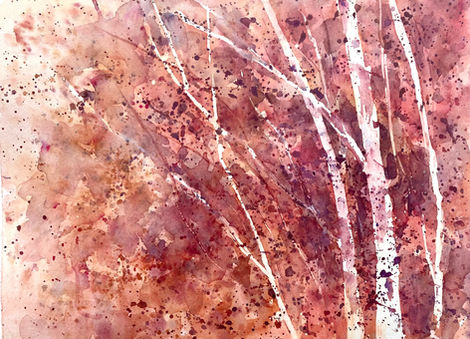 Red Birches